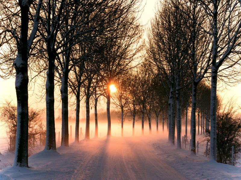 3180 8 صور فصل الشتاء - اجمل واجدد الصور للشتاء هنديه شقية