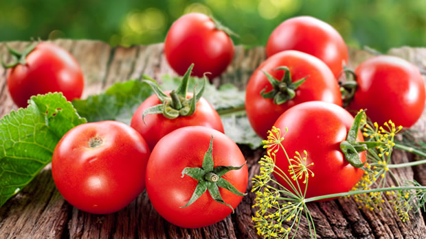 1991 6 فوائد الطماطم - الفوائد العظيمة للبندورة هنديه شقية