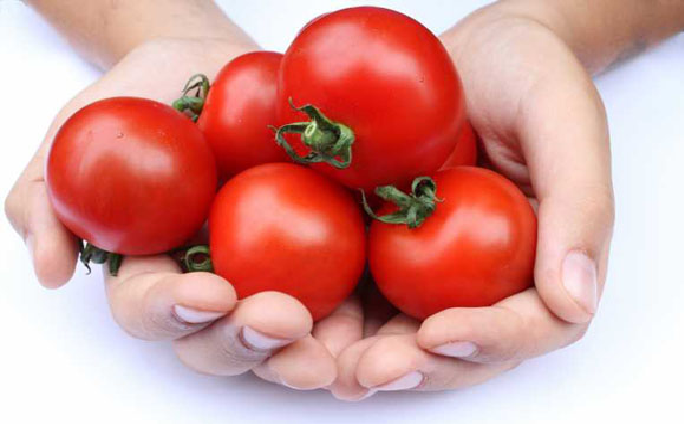1991 فوائد الطماطم - الفوائد العظيمة للبندورة هنديه شقية