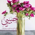 621 12 حبيبي صباح الخير كلمات - كلمات صباحية رومانسية اشجان المقدام