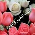 901 14 اجمل الصور مكتوب عليها مساء الخير - مساء الخير علي الحلوين محب بنفسج