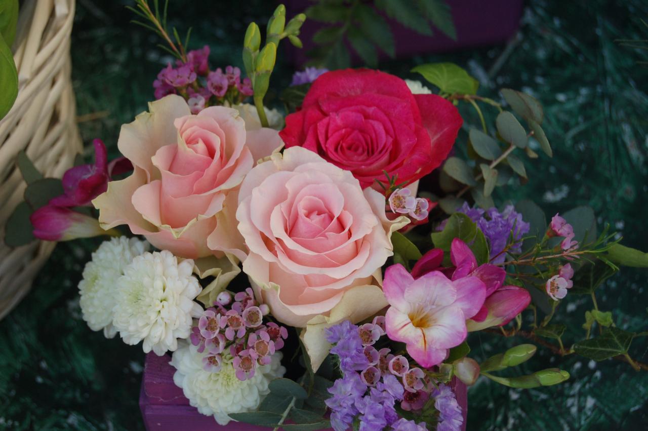 677 9 صور اجمل الورود - خلفيات ورود طبيعيه ماهر فيلي