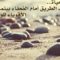 13138 12 كلمات حزينة عن الحياة - عبارات حزينه عن الحياة اشجان المقدام